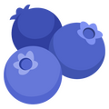 blueberries blueberries